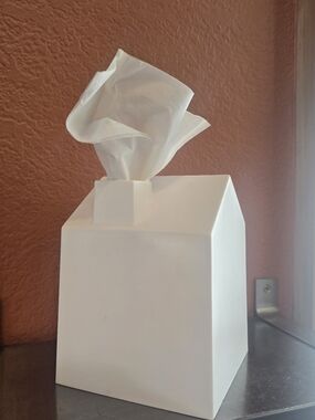 White House-Shaped Tissue Box Holder - Plastic